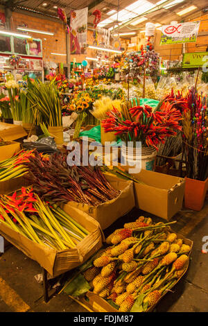 Blumen in Paloquemao Landwirte Blumenmarkt in Bogota, Kolumbien, Südamerika. Stockfoto