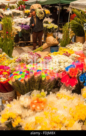 Blumen in Paloquemao Landwirte Blumenmarkt in Bogota, Kolumbien, Südamerika. Stockfoto