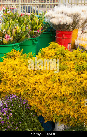 Blumen in Paloquemao Landwirte Blumenmarkt in Bogota, Kolumbien, Südamerika. Stockfoto