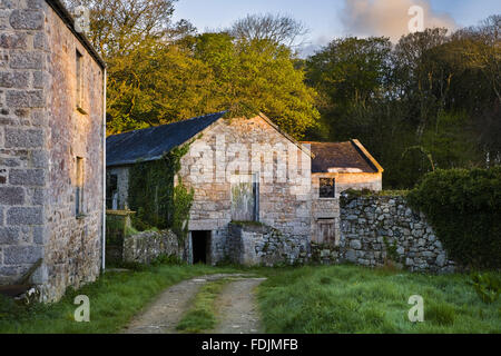 Alte landwirtschaftliche Gebäude auf dem Anwesen bei Godolphin House, in der Nähe von Helston, Cornwall. Stockfoto