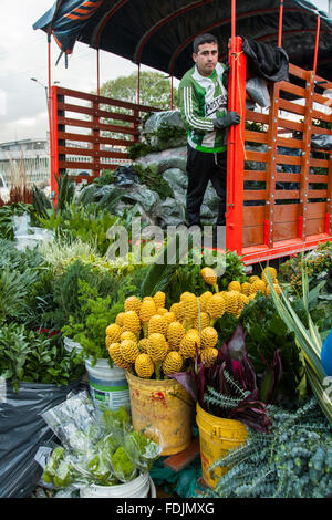 Blumen in Paloquemao Landwirte Blumenmarkt in Bogota, Kolumbien, Südamerika. Stockfoto