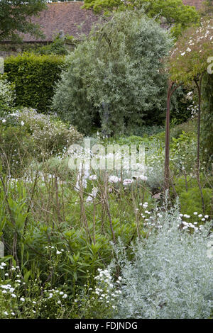 Der weiße Garten im Juni auf Sissinghurst Castle Garden, in der Nähe
