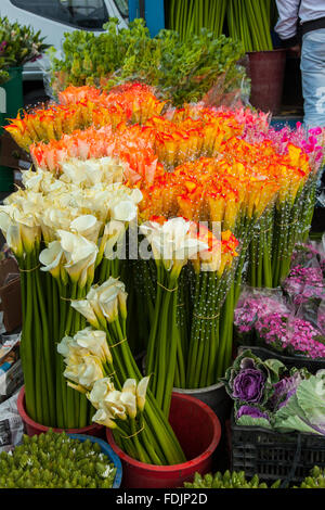 Blumen in Paloquemao Landwirte Blumenmarkt in Bogota, Kolumbien, Südamerika. Stockfoto