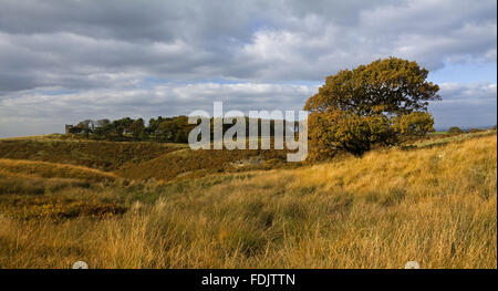 Ein Blick über Park Moor in Richtung Cluses Hay auf Lyme Park Estate, Cheshire, im Oktober. Stockfoto