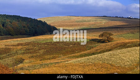 Blick von Cluses Hay in Richtung Park Moor auf Lyme Park Estate, Cheshire, im Oktober. Stockfoto