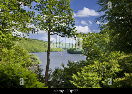 Blick auf die Dart-Mündung flussabwärts von Greenway, Devon, die das Ferienhaus der Krimiautorin Agatha Christie war. Stockfoto