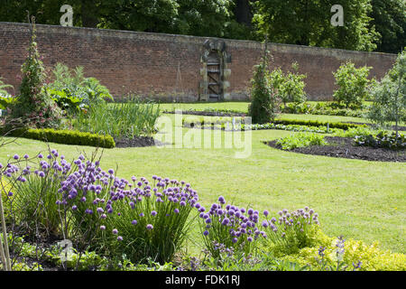 Kräuter und Betten in den Walled Garden umfasst 4 Hektar auf Gibside, Newcastle Upon Tyne. Gemüse wachsen organisch in den Walled Garden. Stockfoto