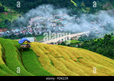 Terrassiertes Reisfeld, Mu Cang Chai, Yen Bai, Vietnam Stockfoto