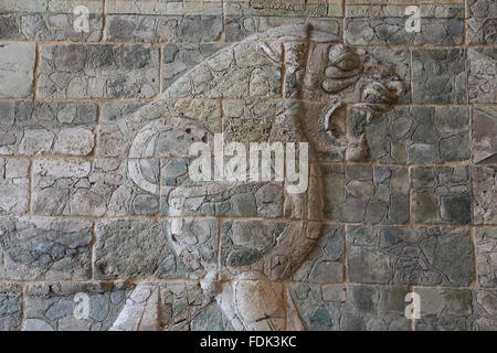 Achaemenid-Reich. Persische Löwe von Darius der große aus dem Susa-Palast. 510 V. CHR.. Glasierte Ziegeln geformt. Iran. Louvre-Museum. Stockfoto