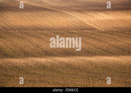 Vor kurzem Gepflügtes und gesät mit Samen Agrarbereich als Hintergrund. Die Erde füllt ganze Rahmen. Stockfoto