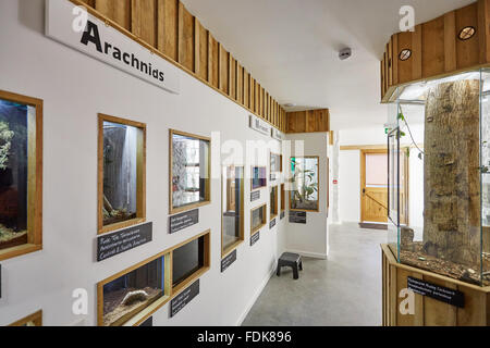 Das Innere des Hauses tropischen Fehler auf Fehler-Farm in der Nähe von St Davids, Pembrokeshire, Wales Stockfoto