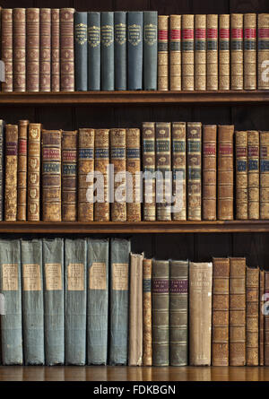 Detail der Bücher in den Regalen in der Bibliothek im Penrhyn Castle, Gwynedd Stockfoto