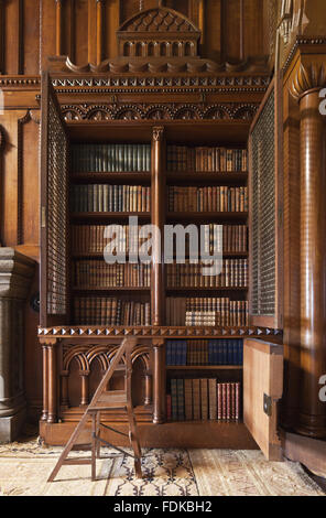 Detail des Neo-Norman Bücherregal designed by Thomas Hopper mit der vergoldeten Messing Gitter geöffnet, in der Bibliothek im Penrhyn Castle, Gwynedd. Stockfoto