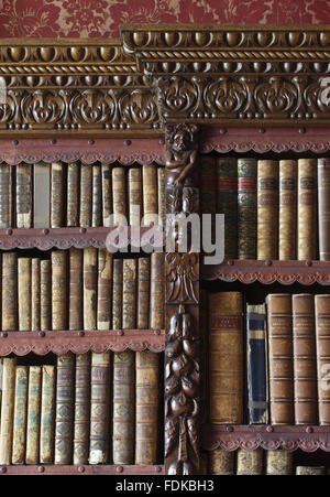 Detail des neunzehnten Jahrhunderts Bibliothek Bücherregale in Chirk Castle, Wrexham. Stockfoto