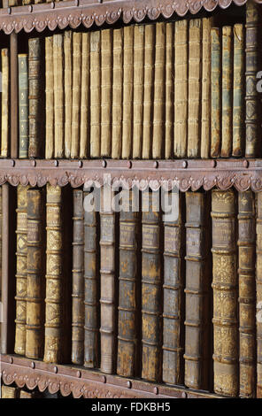 Detail des neunzehnten Jahrhunderts Bibliothek Bücherregale in Chirk Castle, Wrexham. Stockfoto