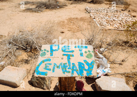 Das Haustier Friedhof in Slab City, Kalifornien Stockfoto