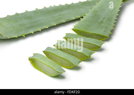 Stücke des Aloe Vera Blattes auf weißem Hintergrund Stockfoto