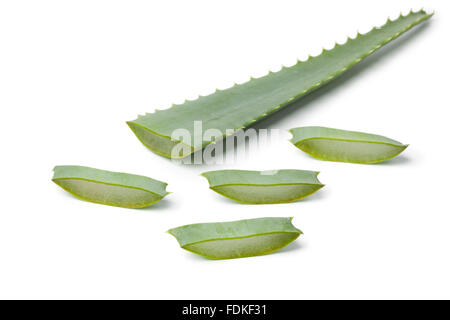 Stücke des Aloe Vera Blattes auf weißem Hintergrund Stockfoto
