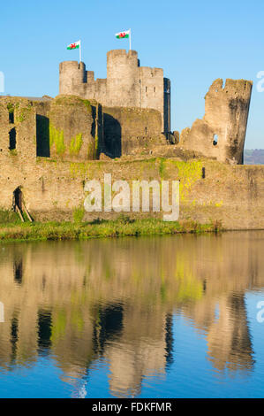 Walisische Fahnen oben Caerphilly Castle eine mittelalterliche Burg mit Wassergraben in Caerphilly Glamorgan South Wales GB UK EU Europa Stockfoto