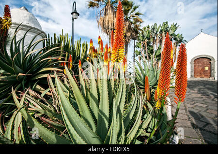 kunst agave Metal Sawtooth Agave Plant (Small) | Faux Agave