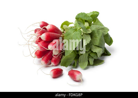 Frische rote ovale Rettich auf weißem Hintergrund Stockfoto