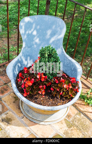 Topf mit Blumen in einer Schüssel aus Eisen auf der Terrasse Stockfoto