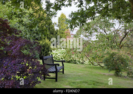 Bank unter Bäumen und Sträuchern im August an Emmetts Garden, Kent. Stockfoto