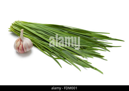 Frische chinesischer Schnittlauch und Knoblauch auf weißem Hintergrund Stockfoto