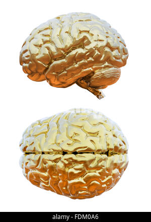 Menschliche Gehirn golden Stockfoto