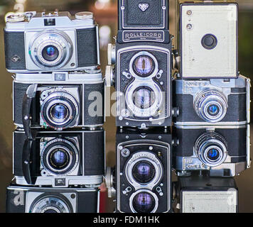 Eine Sammlung von Oldtimer-Kameras Stockfoto
