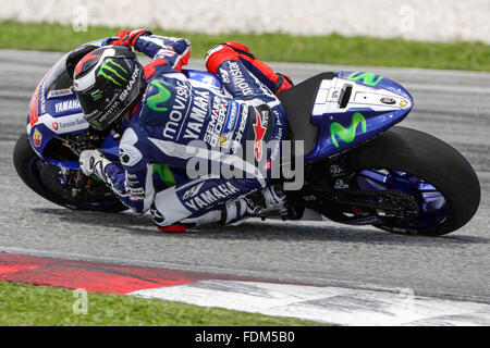 Kuala Lumpur, Malaysia. 1. Februar 2016. Jorge Lorenzo aus Spanien und Movistar Yamaha MotoGP bei Tests in Sepang - in Sepang Circuit am 1. Februar 2016 in Kuala Lumpur, Malaysia.  Bildnachweis: Marco Iorio/Alamy Live-Nachrichten Stockfoto