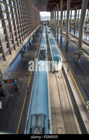 Hochgeschwindigkeitszug AVE-Plattformen. Puerta de Atocha-Bahnhof, Madrid, Spanien. Stockfoto