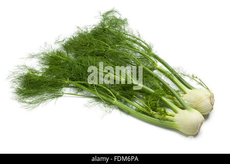 Ganze Frische Fenchelknollen mit grünen Blättern auf weißem Hintergrund Stockfoto