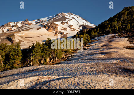 Kalifornien - Licht des frühen Morgens am Mount Shasta aus in der Nähe von Clear Creek Trail im Mount Shasta Wildnisgebiet. Stockfoto