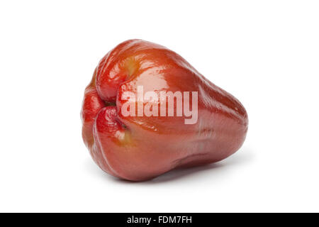 Ganze Singlel frische Glocke Apfel auf weißem Hintergrund Stockfoto