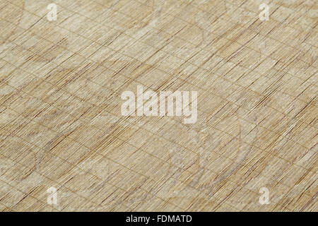 Erhaltung des siebzehnten Jahrhunderts Ham House Königin Vorzimmer Wallhangings, im Textile Conservation Studio Mai Berkouwer. Der Wandbehang hat blaue Seidensamt Grenzen bestickt mit vergoldeten Silberfäden rund um Ersatz Damast-panel Stockfoto