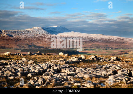 Whernside im Winter und Kalkstein Pflaster bei Southerscales Kapelle le Dale Yorkshire Dales England Stockfoto