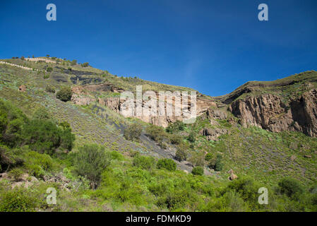 Gran Canaria, Caldera de Bandama und Pico de Bandama im Winter (Januar) Stockfoto