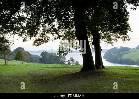 Die Carrick Roads von Trelissick Garden, Cornwall gesehen. Stockfoto