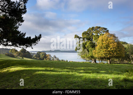 Die Carrick Roads von Trelissick Garden, Cornwall gesehen. Stockfoto