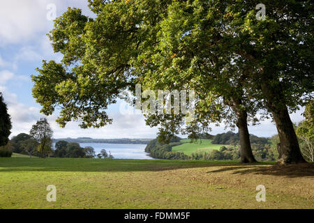 Die Carrick Roads von Trelissick Garden, Cornwall gesehen. Stockfoto