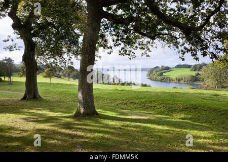 Die Carrick Roads von Trelissick Garden, Cornwall gesehen. Stockfoto