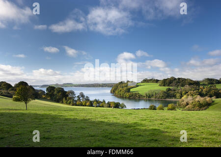 Die Carrick Roads von Trelissick Garden, Cornwall gesehen. Stockfoto