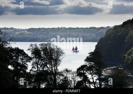 Die Carrick Roads von Trelissick Garden, Cornwall gesehen. Stockfoto