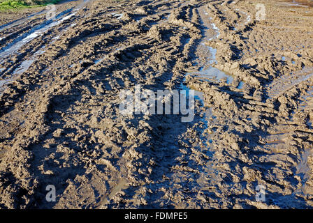 Traktor-Reifenspuren im Schlamm am Eingang einer Ackerfläche in der Landschaft von Suffolk. Stockfoto