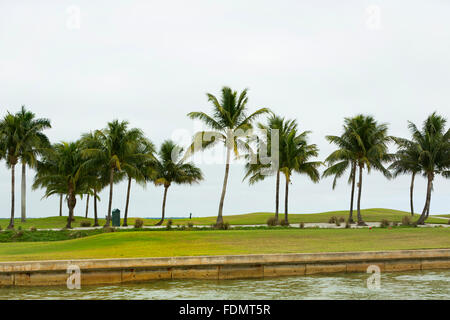 Golf Resort, morgen auf den Golf, Cape Coral, Florida, USA Stockfoto