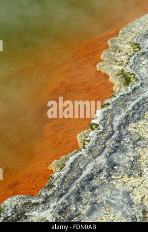 Champagne Pool in die atemberaubende und erstaunliche geothermischen Landschaft von Wai-O-Tapu Thermalbereich, Rotorua, Neuseeland. Stockfoto