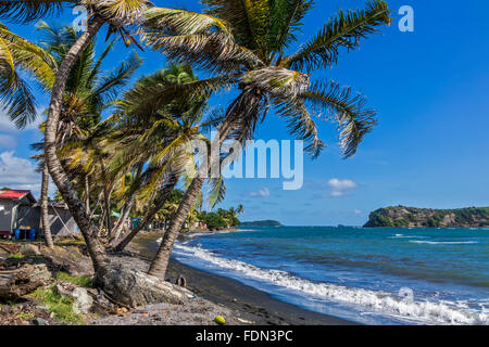 Ein Dorf am Meer Grenada West Indies Stockfoto