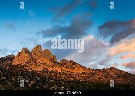 Hasenohren über Aguirre Frühling Zeltplatz in Organ Mountains – Wüste Gipfeln National Monument, New Mexico, USA Stockfoto