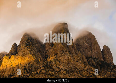 Hasenohren über Aguirre Frühling Zeltplatz in Organ Mountains – Wüste Gipfeln National Monument, New Mexico, USA Stockfoto